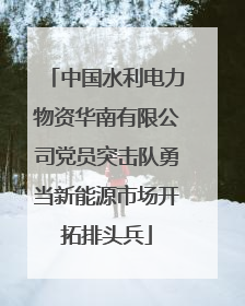 中国水利电力物资华南有限公司党员突击队勇当新能源市场开拓排头兵