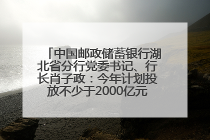 中国邮政储蓄银行湖北省分行党委书记、行长肖子政：今年计划投放不少于2000亿元支持支点建设