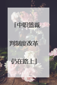 中职篮裁判制度改革仍在路上