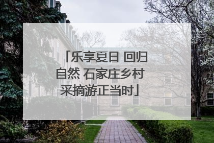 乐享夏日 回归自然 石家庄乡村采摘游正当时