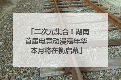 二次元集合！湖南首届电竞动漫嘉年华本月将在衡启幕