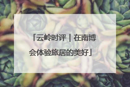 云岭时评｜在南博会体验旅居的美好