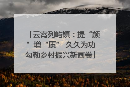 云霄列屿镇：提“颜”增“质” 久久为功勾勒乡村振兴新画卷