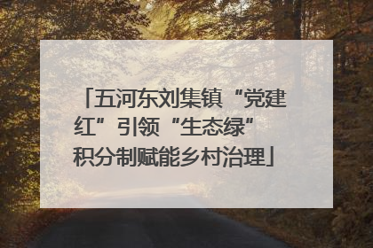 五河东刘集镇“党建红”引领“生态绿” 积分制赋能乡村治理