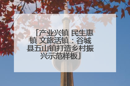 产业兴镇 民生惠镇 文旅活镇：谷城县五山镇打造乡村振兴示范样板