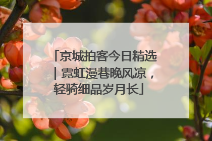 京城拍客今日精选｜霓虹漫巷晚风凉，轻骑细品岁月长