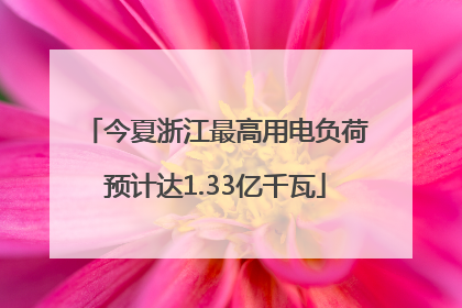 今夏浙江最高用电负荷预计达1.33亿千瓦