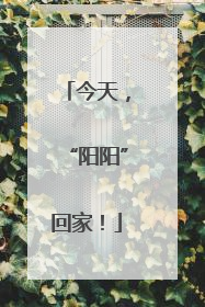 今天，“阳阳”回家！