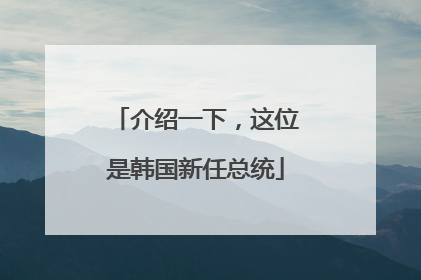 介绍一下，这位是韩国新任总统