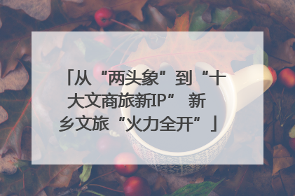 从“两头象”到“十大文商旅新IP” 新乡文旅“火力全开”