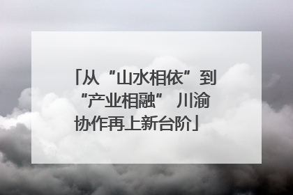 从“山水相依”到“产业相融” 川渝协作再上新台阶