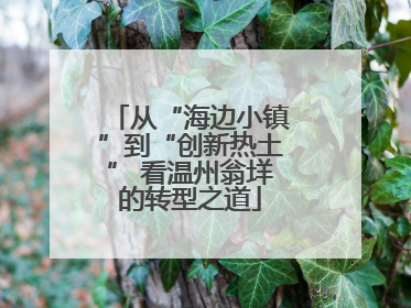 从“海边小镇”到“创新热土” 看温州翁垟的转型之道
