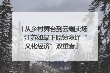 从乡村舞台到云端卖场，江苏如皋下原镇演绎“文化经济”双重奏