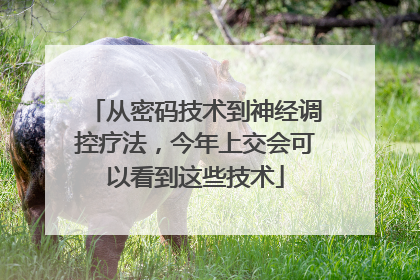 从密码技术到神经调控疗法，今年上交会可以看到这些技术