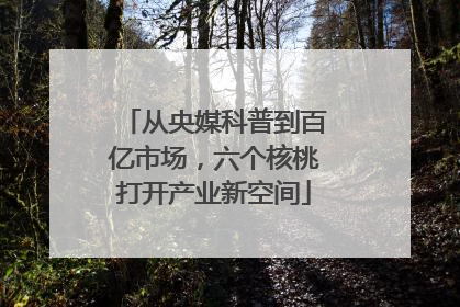 从央媒科普到百亿市场，六个核桃打开产业新空间