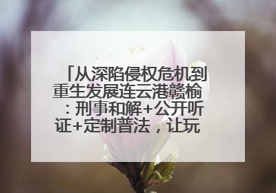 从深陷侵权危机到重生发展连云港赣榆：刑事和解+公开听证+定制普法，让玩具公司回到正轨
