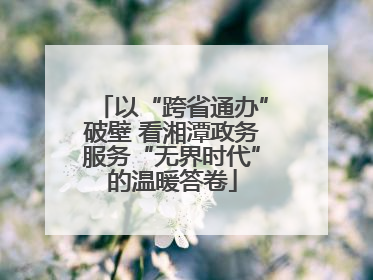 以“跨省通办”破壁 看湘潭政务服务“无界时代”的温暖答卷