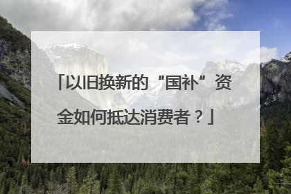 以旧换新的“国补”资金如何抵达消费者？