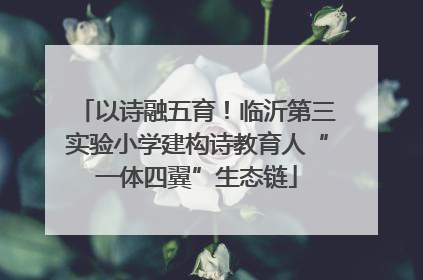 以诗融五育！临沂第三实验小学建构诗教育人“一体四翼”生态链