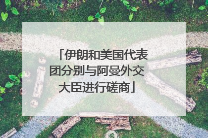 伊朗和美国代表团分别与阿曼外交大臣进行磋商