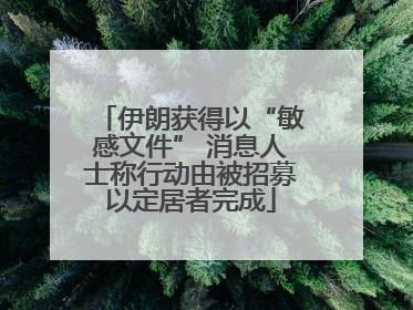 伊朗获得以“敏感文件” 消息人士称行动由被招募以定居者完成