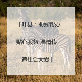 叶县：助残帮办贴心服务 温情传递社会大爱