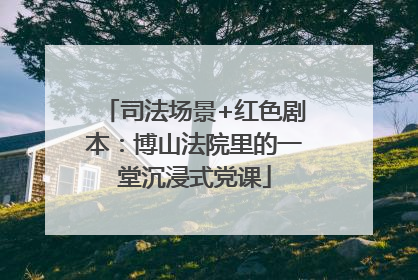 司法场景+红色剧本：博山法院里的一堂沉浸式党课