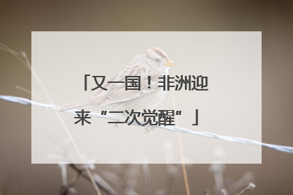 又一国！非洲迎来“二次觉醒”