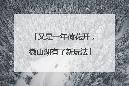 又是一年荷花开，微山湖有了新玩法