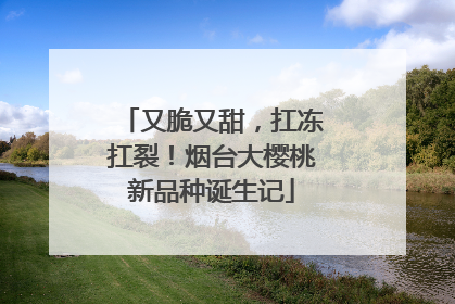 又脆又甜，扛冻扛裂！烟台大樱桃新品种诞生记