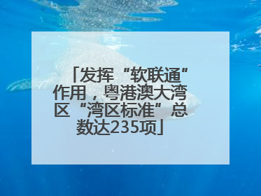 发挥“软联通”作用，粤港澳大湾区“湾区标准”总数达235项