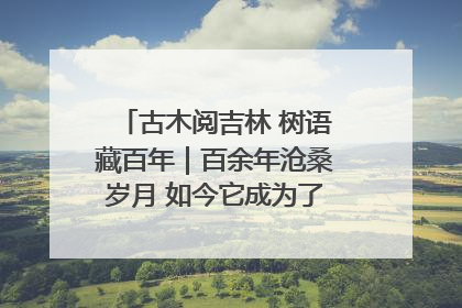古木阅吉林 树语藏百年｜百余年沧桑岁月 如今它成为了“镇园之宝”