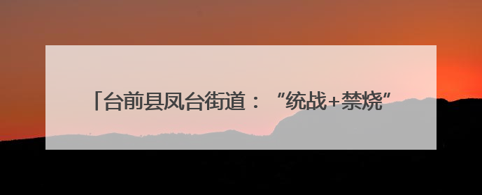 台前县凤台街道：“统战+禁烧”双轮驱动守护蓝天 “零火点”