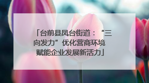 台前县凤台街道：“三向发力”优化营商环境 赋能企业发展新活力