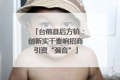 台前县后方镇：创新实干奏响招商引资“强音”