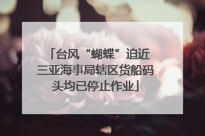台风“蝴蝶”迫近 三亚海事局辖区货船码头均已停止作业