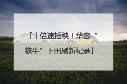 十倍速插秧！华容“铁牛”下田刷新纪录