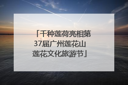 千种莲荷亮相第37届广州莲花山莲花文化旅游节