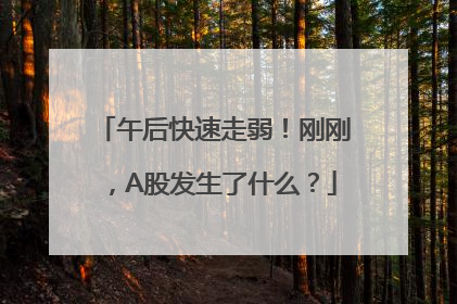 午后快速走弱！刚刚，A股发生了什么？
