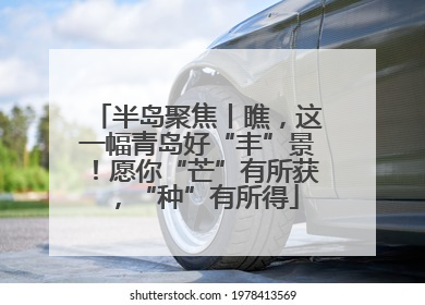 半岛聚焦丨瞧，这一幅青岛好“丰”景！愿你“芒”有所获，“种”有所得