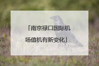 南京禄口国际机场值机有新变化
