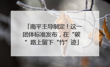 南平主导制定！这一团体标准发布，在“碳”路上留下“竹”迹