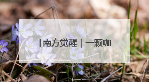 南方觉醒｜一颗咖啡豆的前世今生