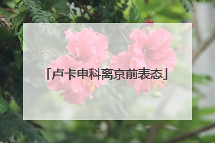 卢卡申科离京前表态