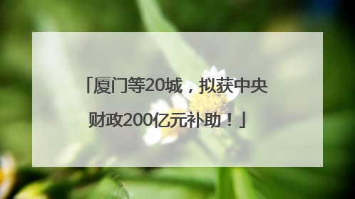 厦门等20城，拟获中央财政200亿元补助！