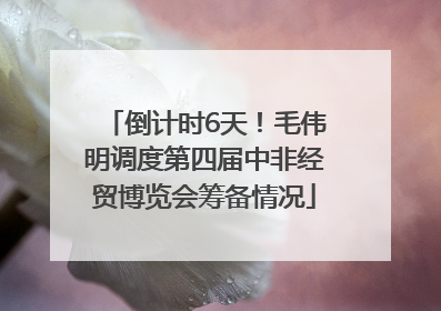 倒计时6天！毛伟明调度第四届中非经贸博览会筹备情况