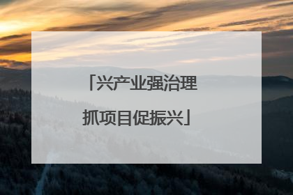 兴产业强治理 抓项目促振兴
