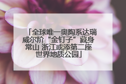 全球唯一奥陶系达瑞威尔阶“金钉子”藏身常山 浙江或添第二座世界地质公园