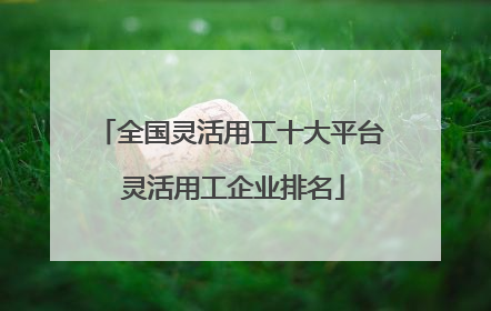 全国灵活用工十大平台 灵活用工企业排名