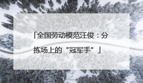 全国劳动模范汪俊：分拣场上的“冠军手”